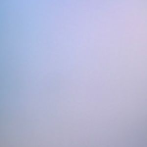 Meet your Posher, Gracie